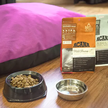 Petit Palace Boqueria Garden